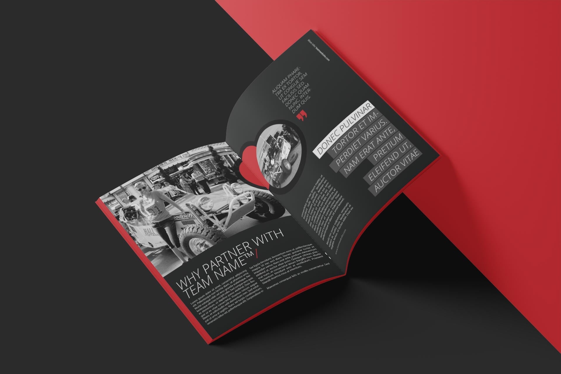 Not Famous Racing Driver - Sponsorship Proposal Template